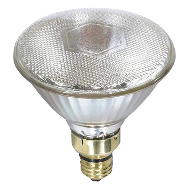 Canarm R40 250W Clear Heat Lamp Bulb