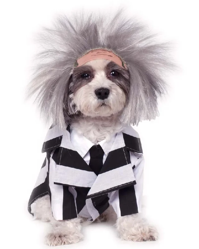 Beetlejuice Pet Costume