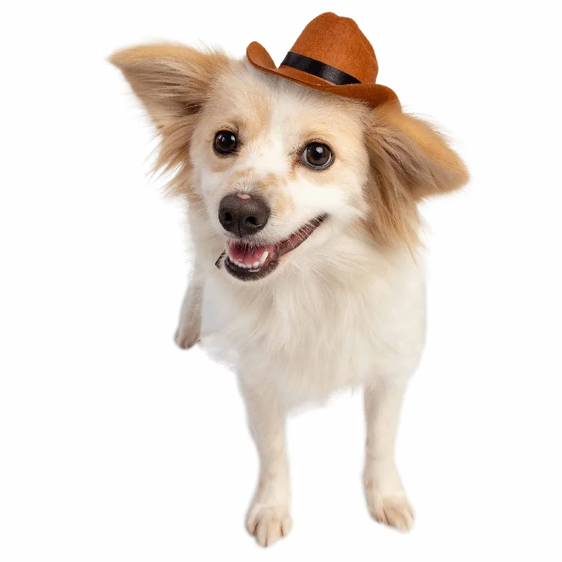 Cowboy Hat Dog Costume