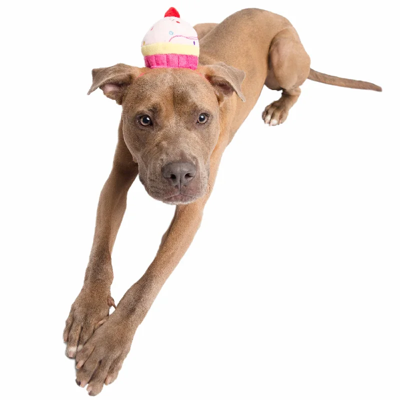 Cupcake Dog Hat