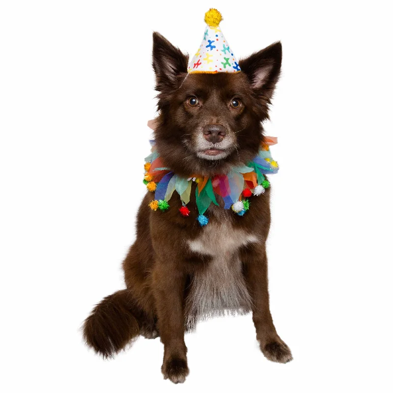 Birthday Celebration Hat & Collar for Dogs