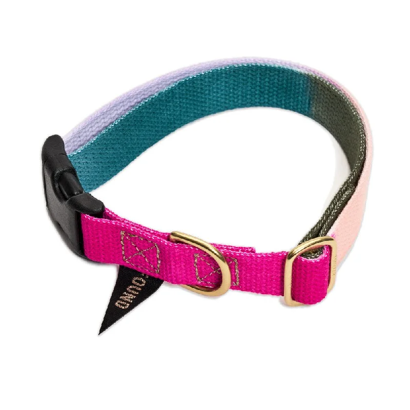 Found My Animal Jolie Flat Web Dog Collar