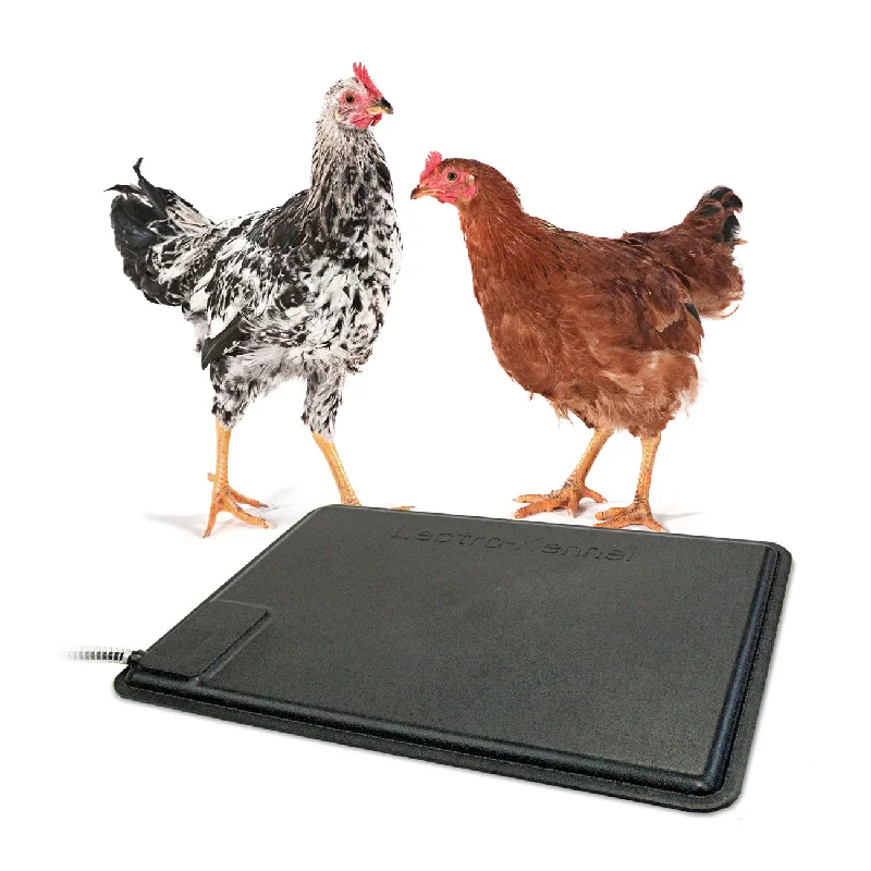 K&H Pet Products Thermo-Chicken Heated Pad