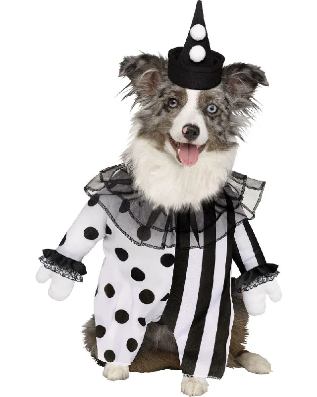 Killer Clown Pet Costume