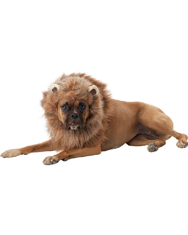 King Of The Jungle Pet Costume