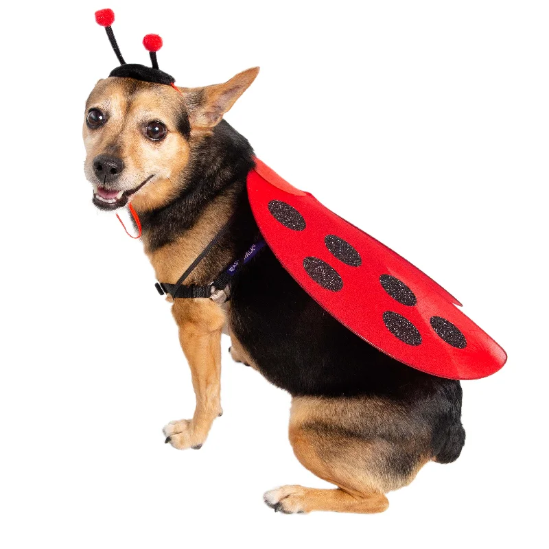 Ladybug Hat and Wings Dog Costume