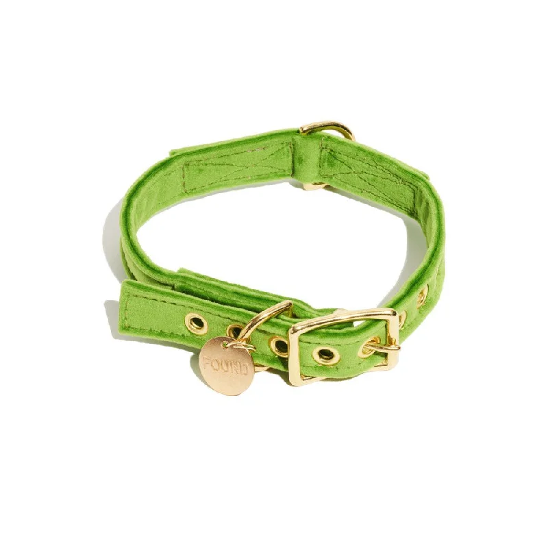 Lime Washable Velvet Cat & Dog Collar