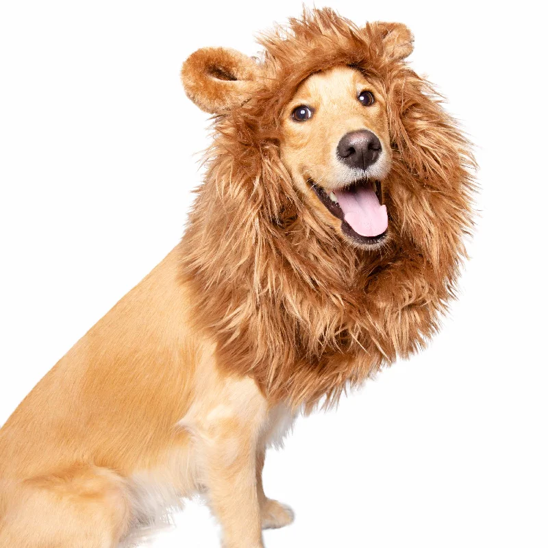 Lion Mane Dog Costume