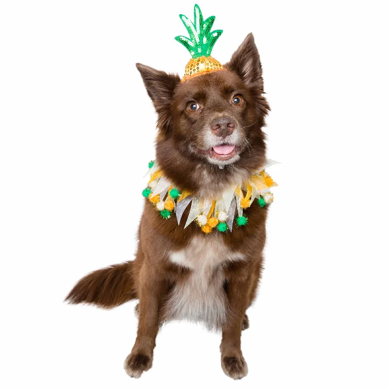 Pineapple Hat and Collar Dog Costume