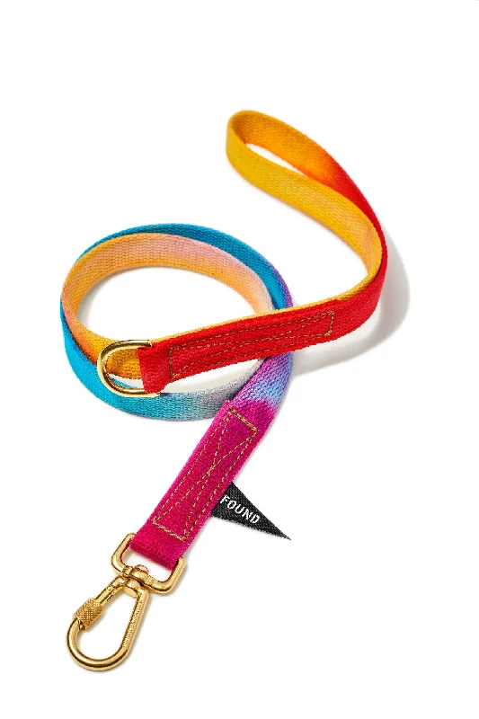 Prismatic Webbing Cotton Dog Leash, Standard