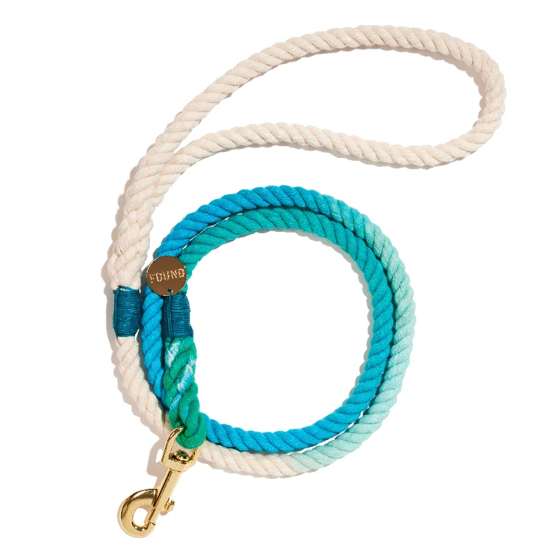 Robins Egg Blue Cotton Rope Dog Leash, Standard - 5FT