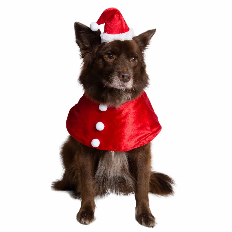 Santa Dog Costume