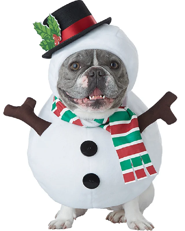 Snowman Dog Pet Costume