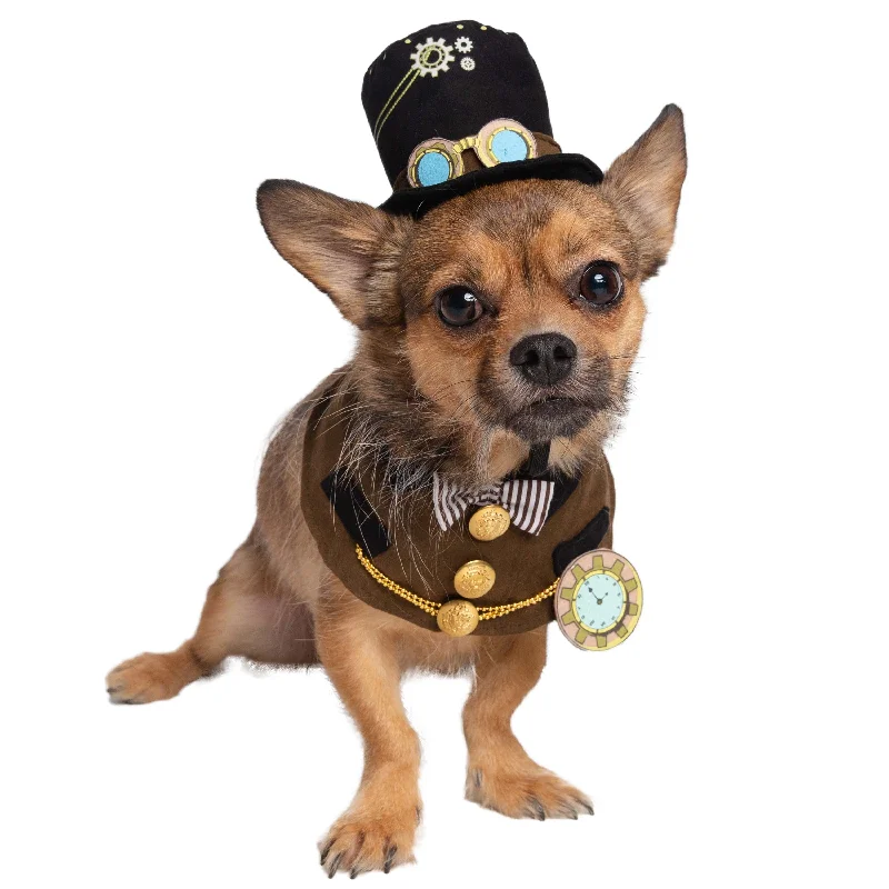 Steampunk Hat and Collar Dog Costume