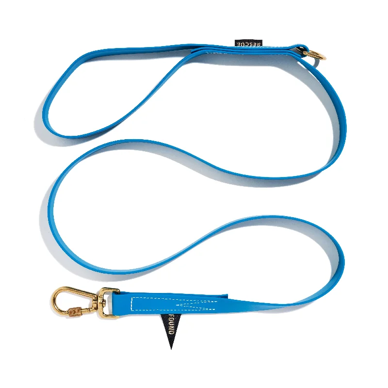 Water Resistant Standard 5ft Leash, Aqua | Found My Animal