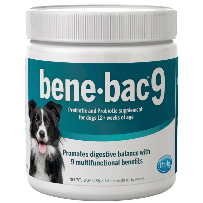 BeneBac 9-in-1 Pre & Probiotic Supplement for Dogs (10 oz)